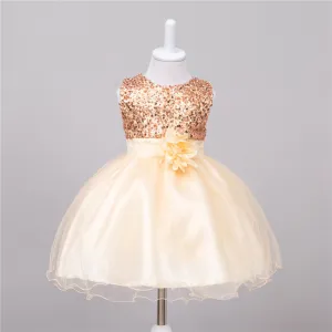 Baby Princess Wedding Dress