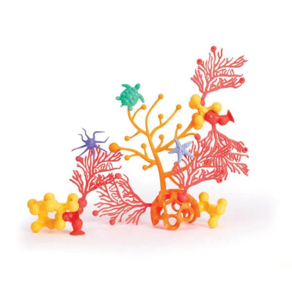 Coral Connections – 40 pc. Set