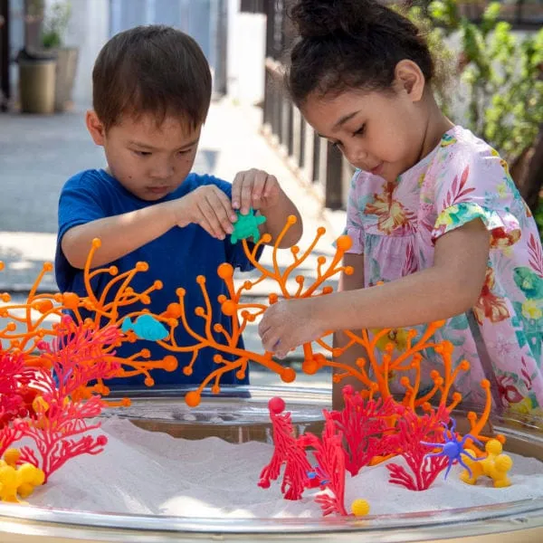 Coral Connections – 40 pc. Set
