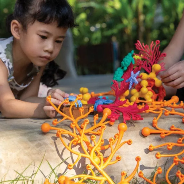 Coral Connections – 40 pc. Set