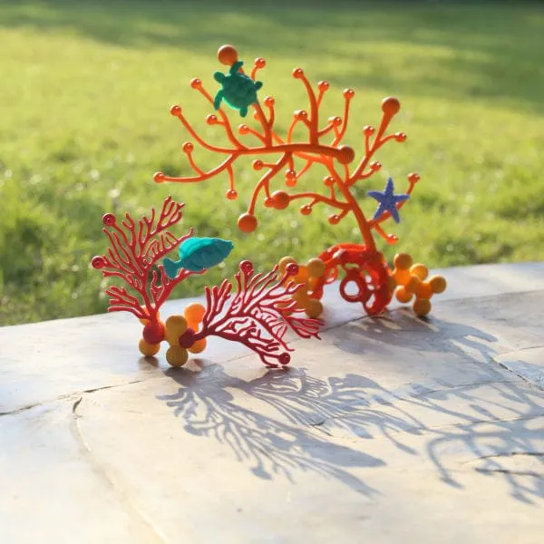Coral Connections – 40 pc. Set