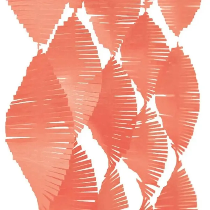 Coral Fringe Garland