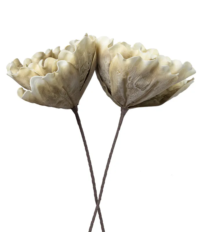 Coral Olive - Set of 2