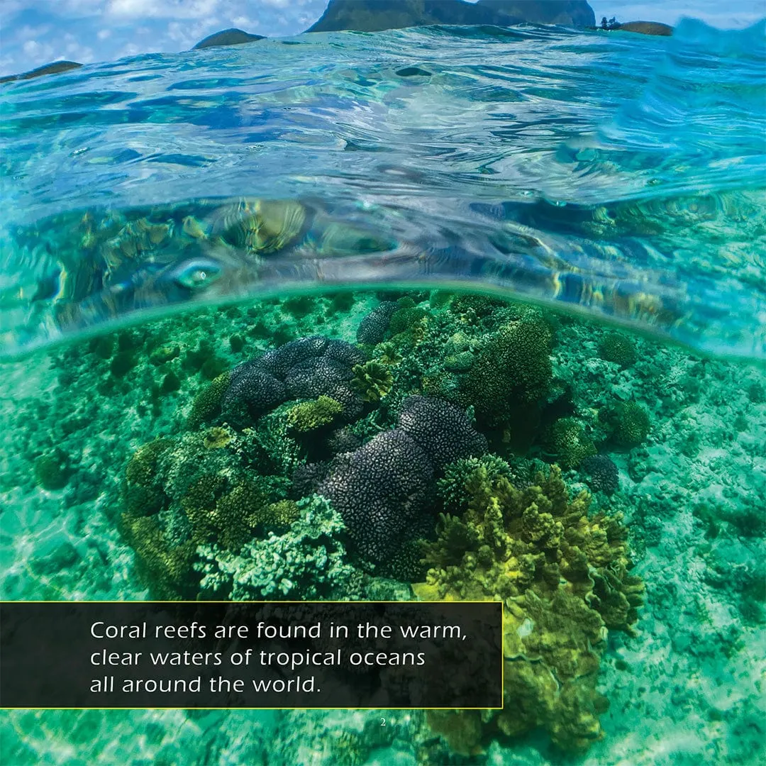 Coral Reefs: A My Incredible World Picture Book for Children