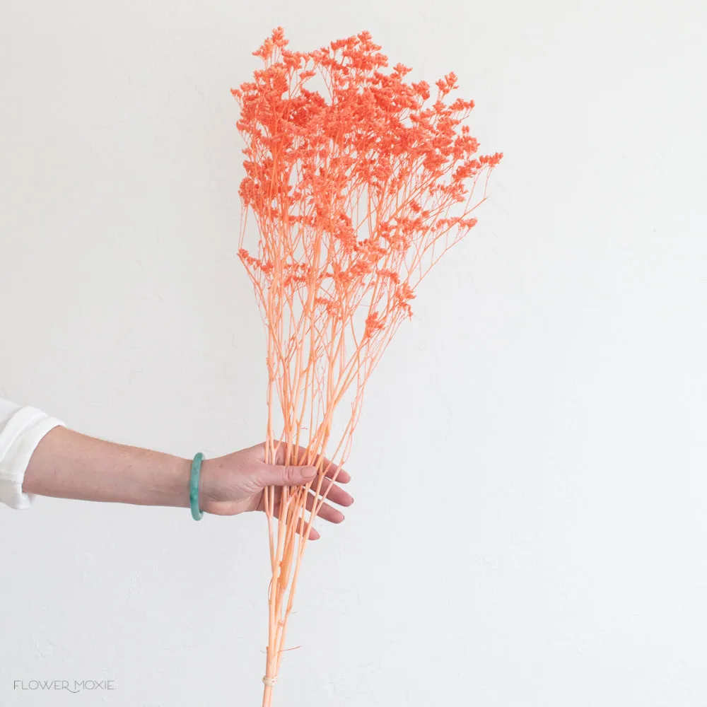 Dried Coral Limonium Flower