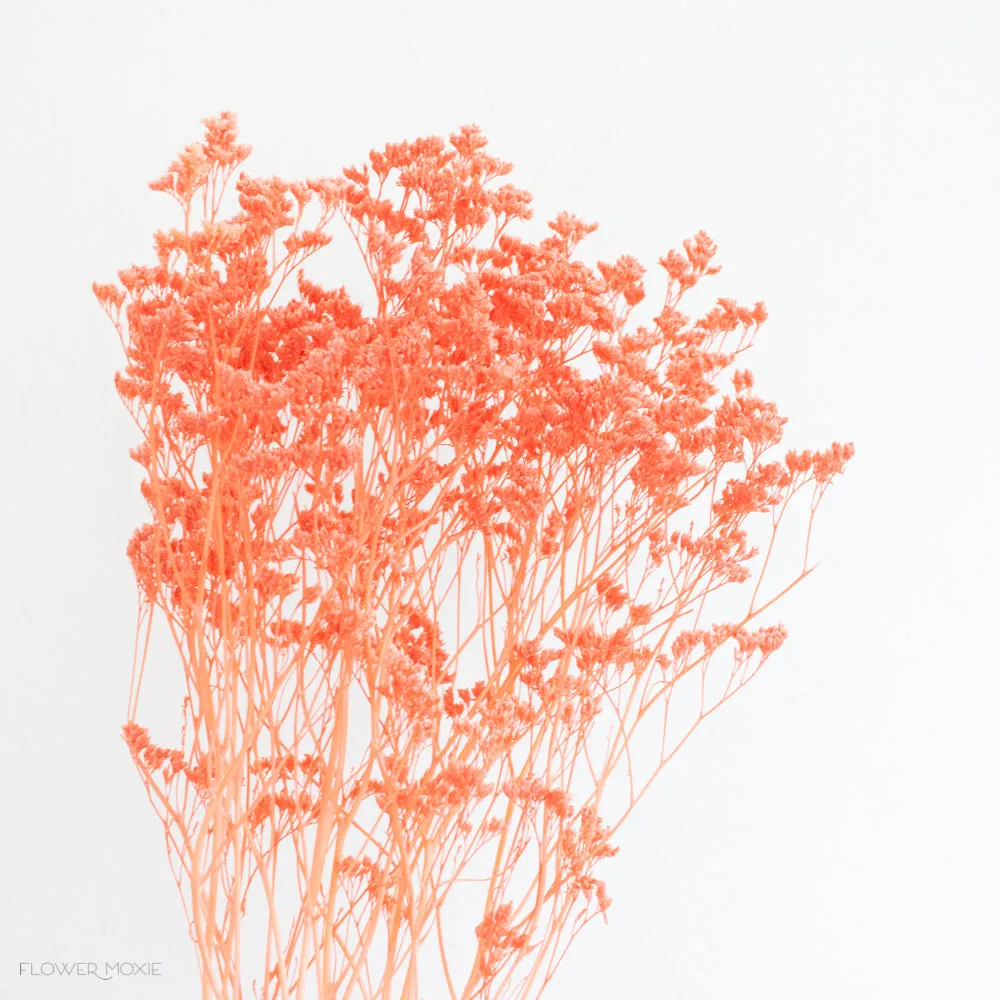 Dried Coral Limonium Flower