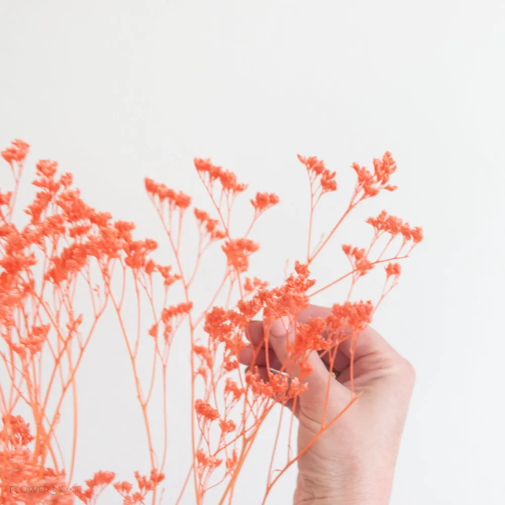 Dried Coral Limonium Flower
