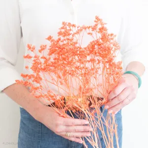 Dried Coral Limonium Flower