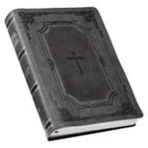 KJV187 Grey/black Super Giant Print