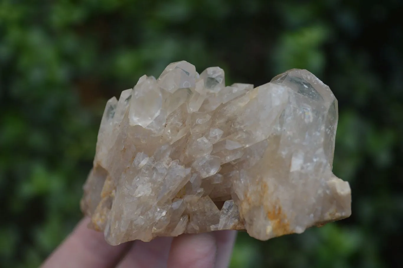 Natural Cascading Pale Citrine Clusters x 3 From Luena, Congo