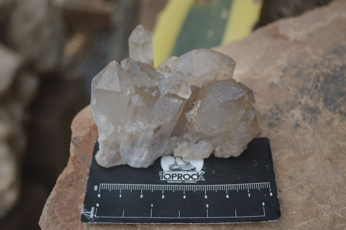 Natural Cascading Pale Citrine Clusters x 3 From Luena, Congo