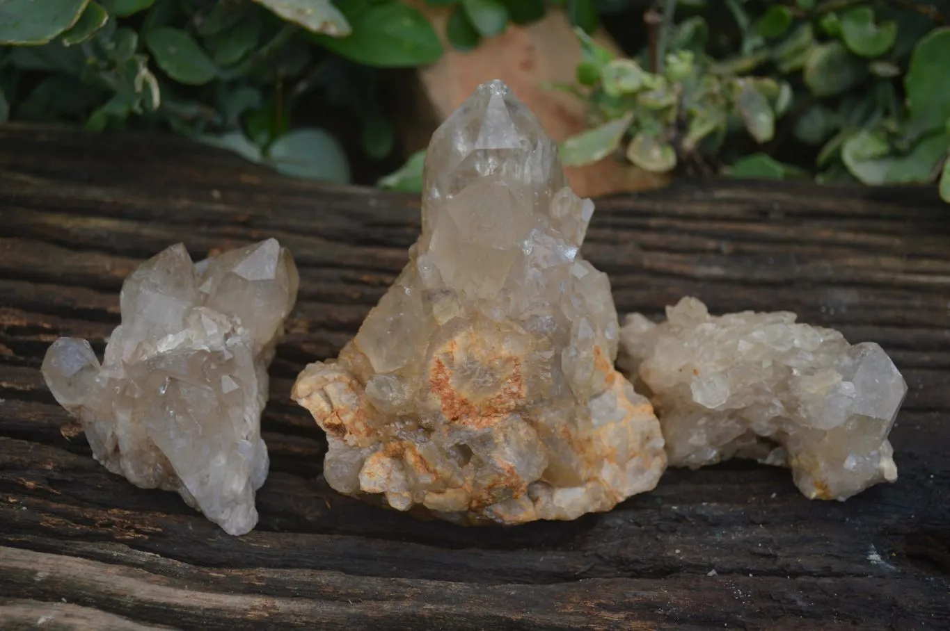 Natural Cascading Pale Citrine Clusters x 3 From Luena, Congo
