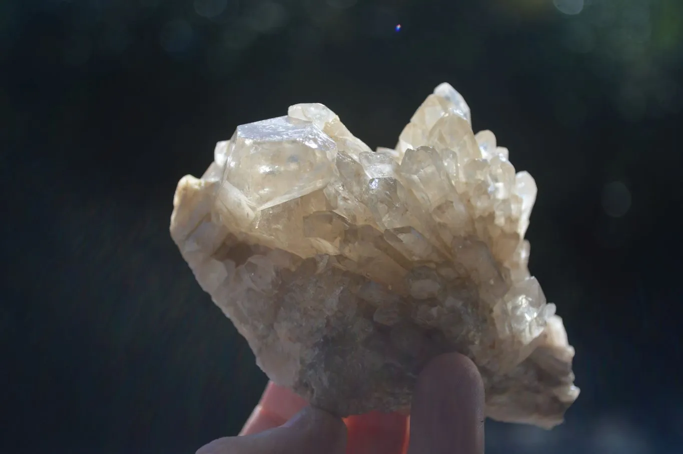 Natural Cascading Pale Citrine Clusters x 3 From Luena, Congo