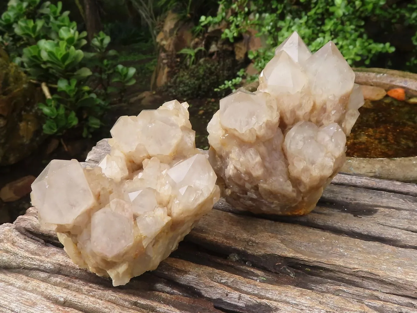 Natural Cascading White Phantom Quartz Clusters x 2 From Luena, Congo