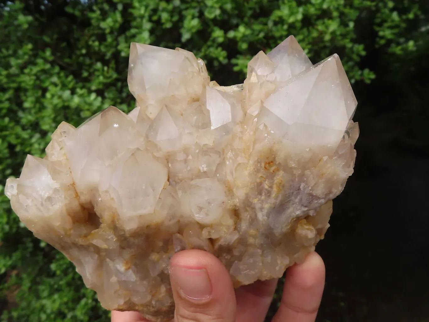 Natural Cascading White Phantom Quartz Clusters x 2 From Luena, Congo