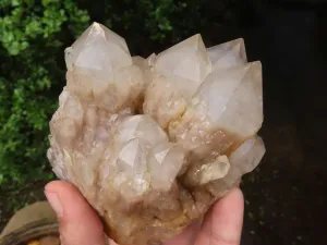 Natural Cascading White Phantom Quartz Clusters x 2 From Luena, Congo