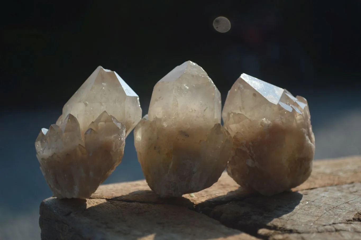 Natural Cascading White Phantom Smokey Quartz Crystals x 35 From Luena, Congo