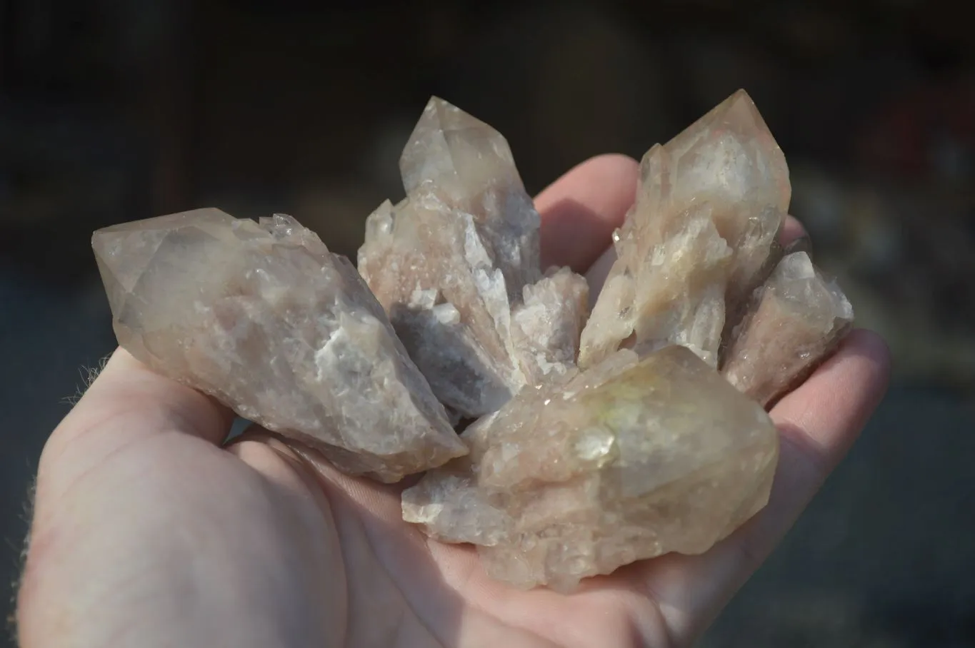 Natural Cascading White Phantom Smokey Quartz Crystals x 35 From Luena, Congo