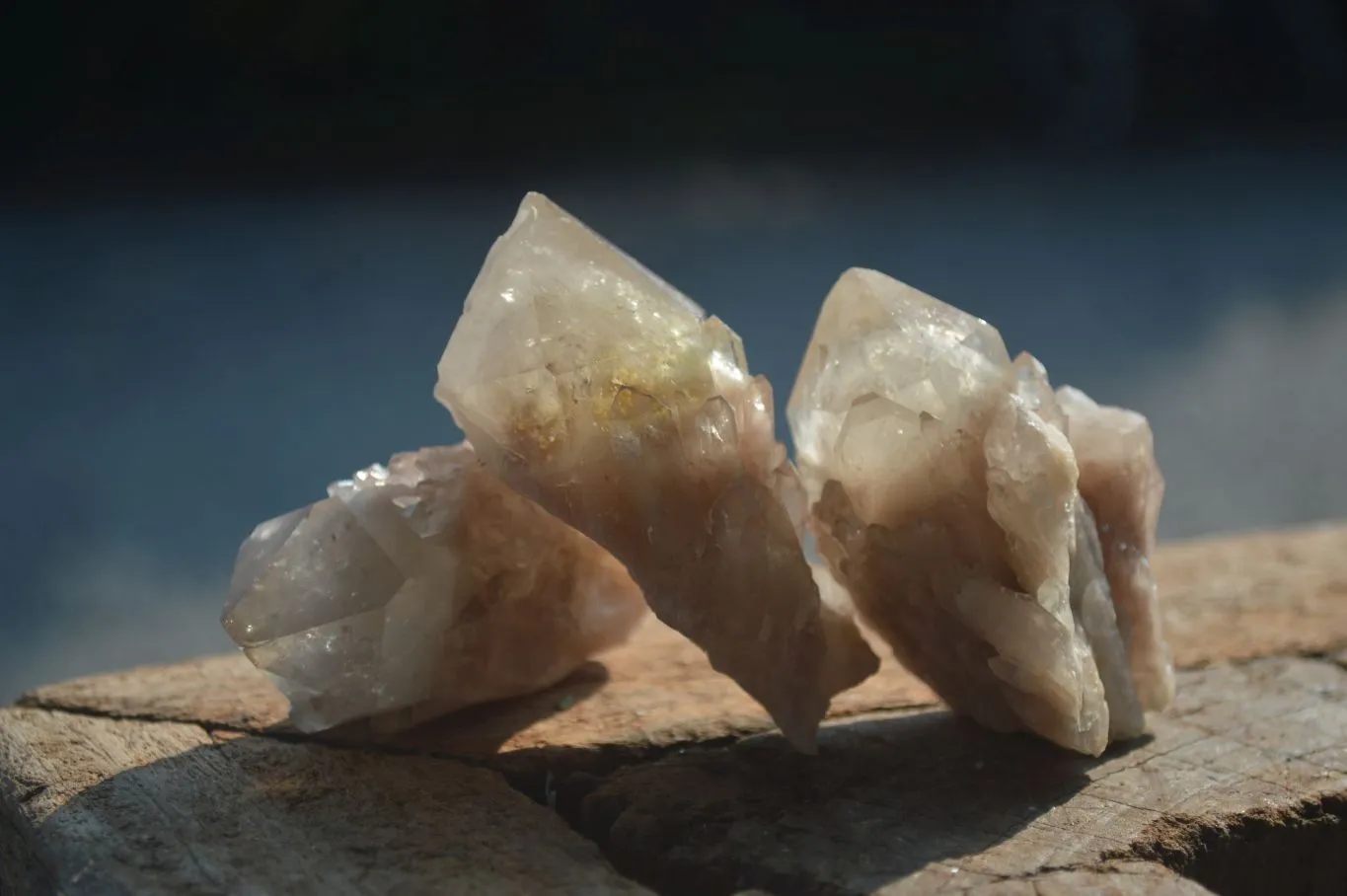 Natural Cascading White Phantom Smokey Quartz Crystals x 35 From Luena, Congo