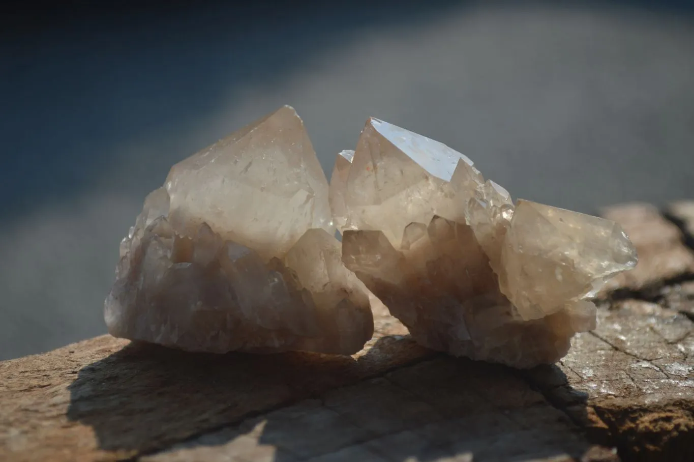 Natural Cascading White Phantom Smokey Quartz Crystals x 35 From Luena, Congo