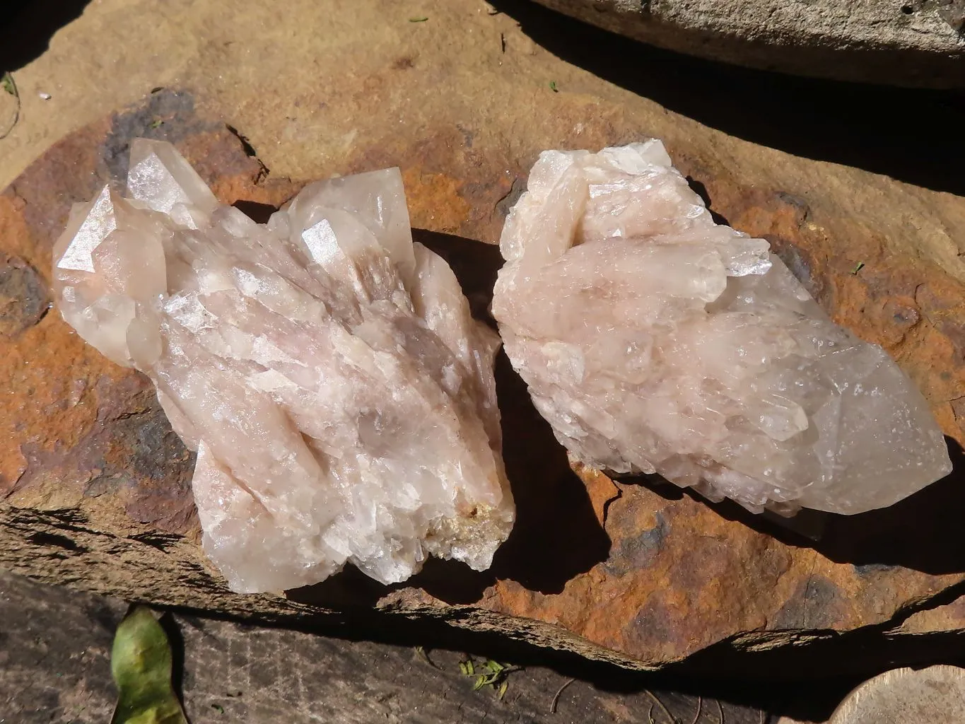 Natural Small Cascading White Phantom Smokey Quartz x 23 From Luena, Congo