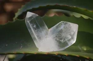 Polished Clear & Pale Citrine / Rainbow Veil Quartz Points x 14 From Madagascar
