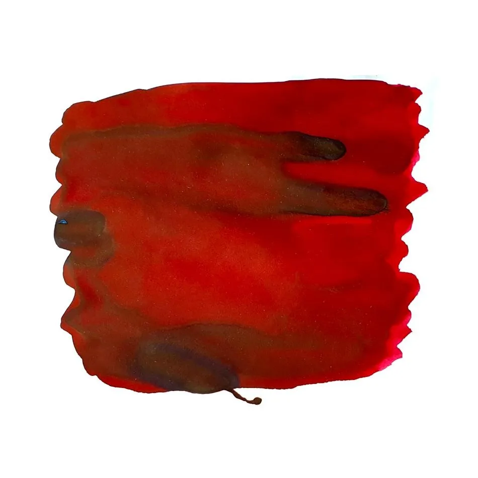 Van Dieman's Underwater - Fire Coral